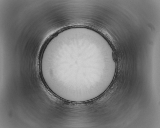 X0000110321072200906111448