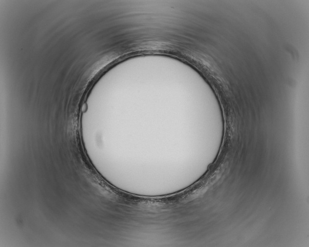 X0000110321073200906111448