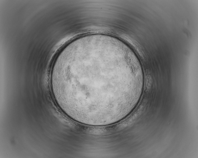 X0000110321074200906111448