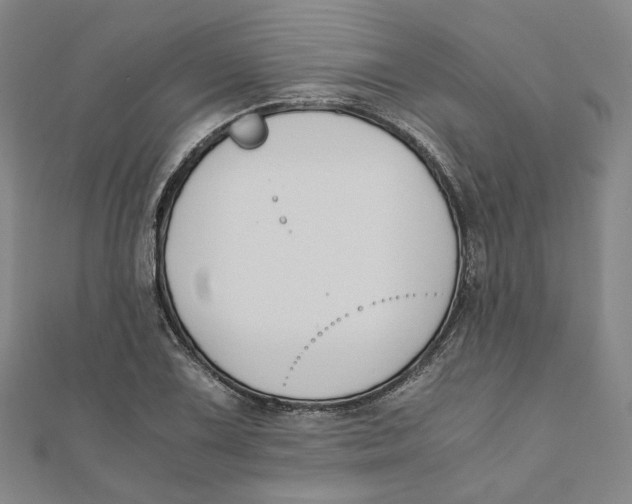 X0000110321075200906111448