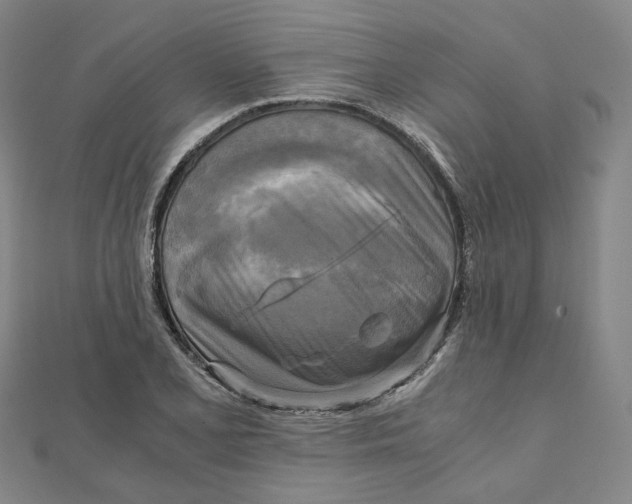 X0000110321077200906111447