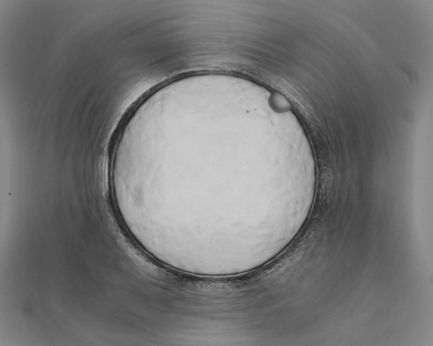 X0000110321079200906111447