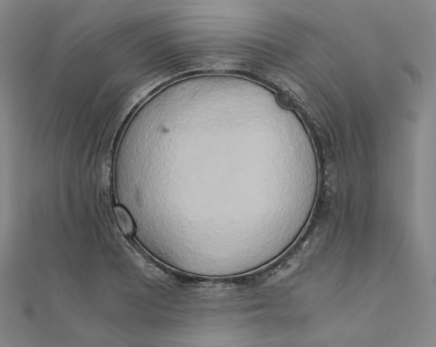 X0000110321081200906111447