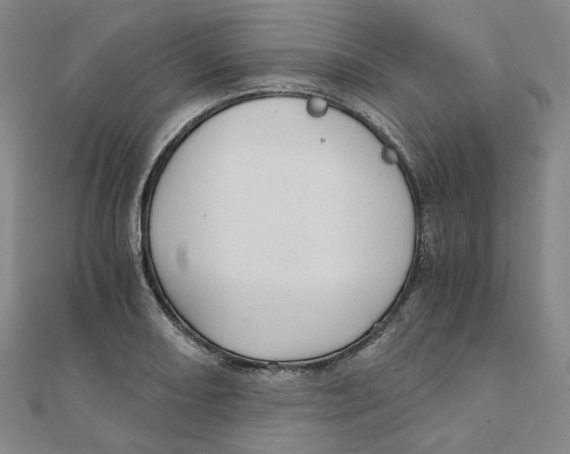 X0000110321082200906111447