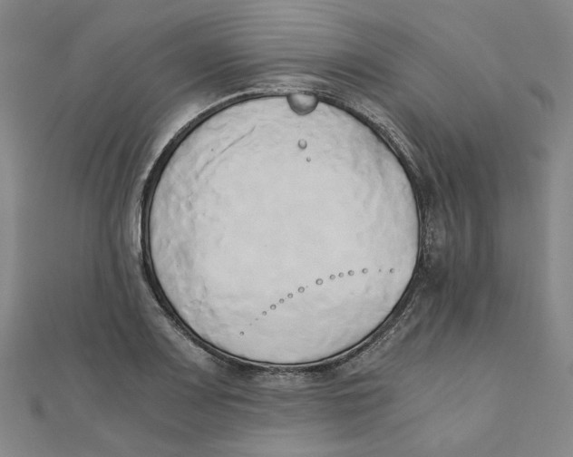 X0000110321083200906111447