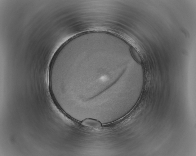 X0000110321084200906111447