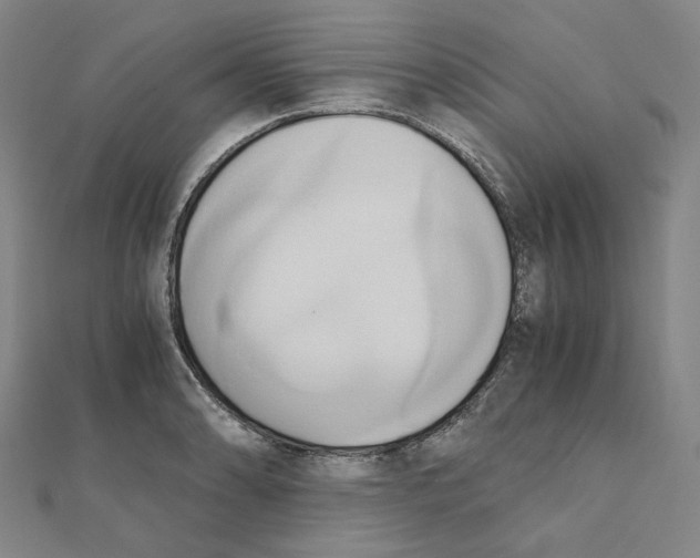 X0000110321086200906111447