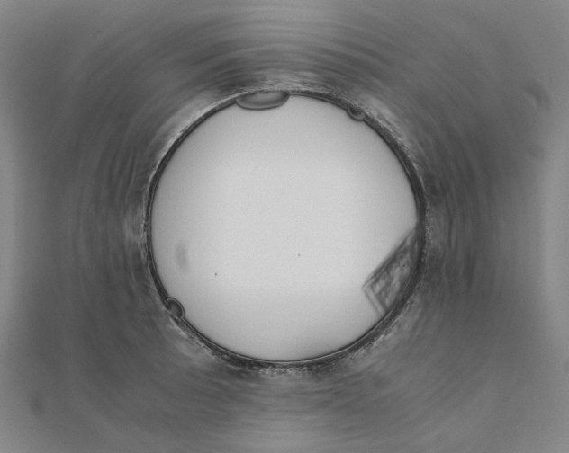 X0000110321089200906111447