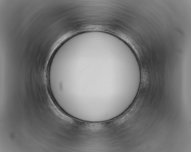 X0000110321090200906111447