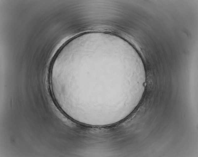 X0000110321091200906111447