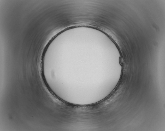 X0000110321093200906111447