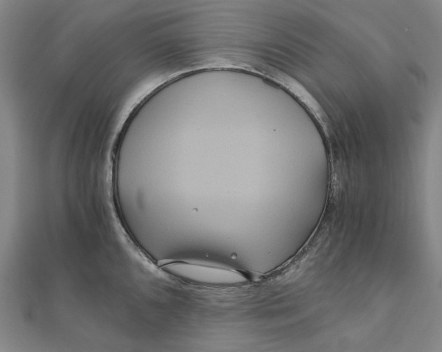 X0000110321096200906111447