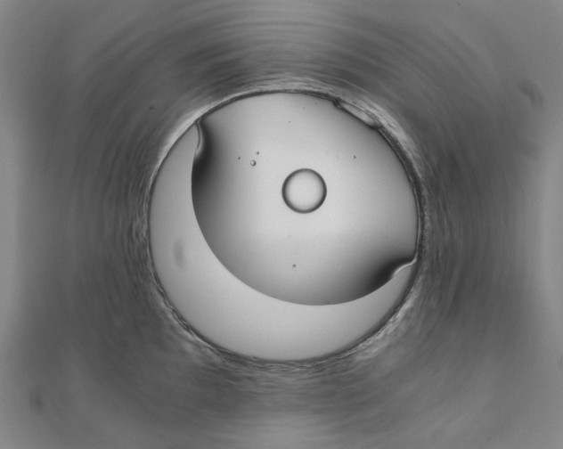 X0000110321097200906111447