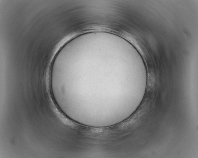 X0000110321098200906111447