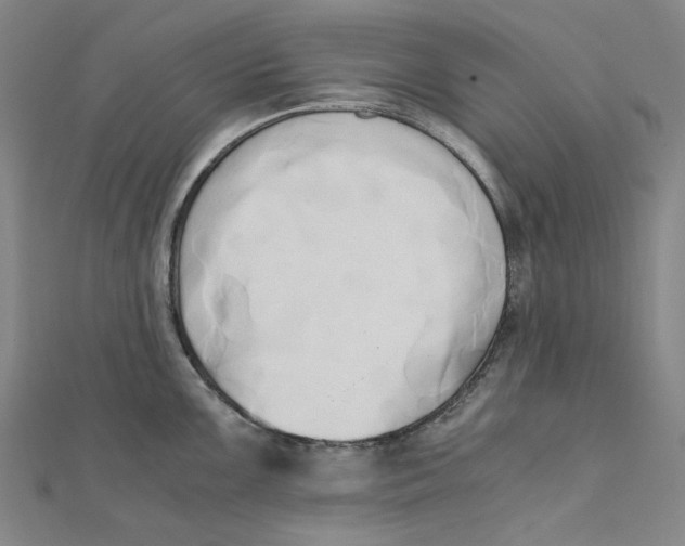 X0000110321099200906111447