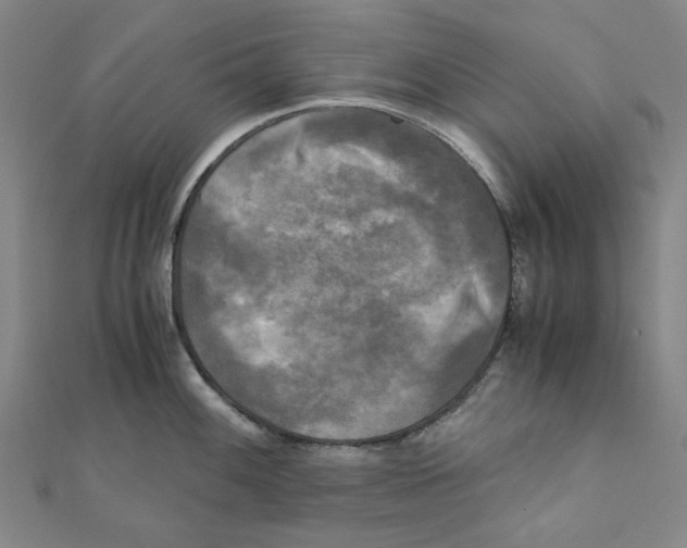 X0000110321100200906111447