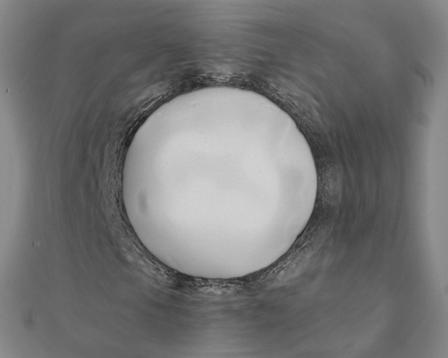 X0000110321105200906111447