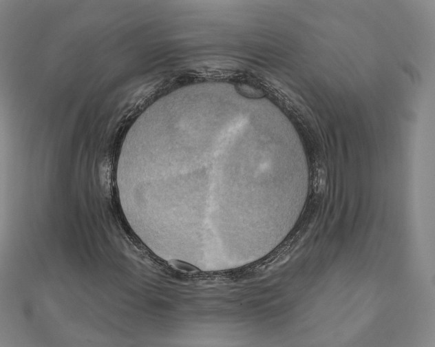 X0000110321108200906111447