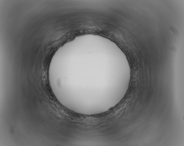 X0000110321109200906111447