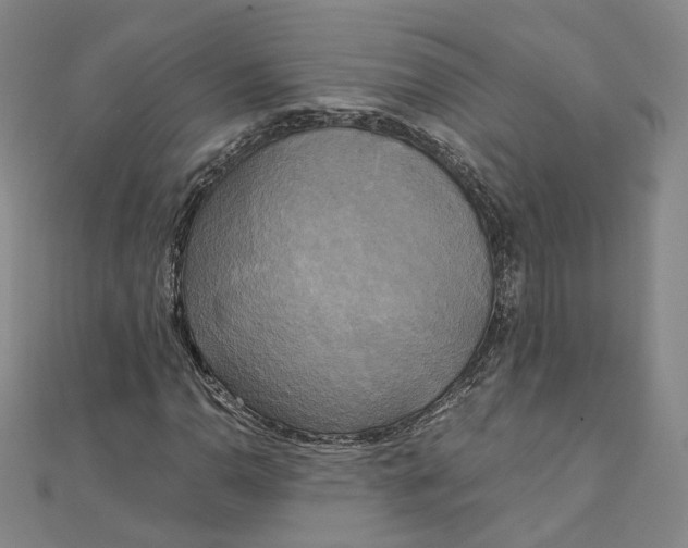 X0000110321110200906111447