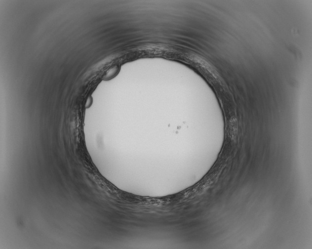 X0000110321111200906111447