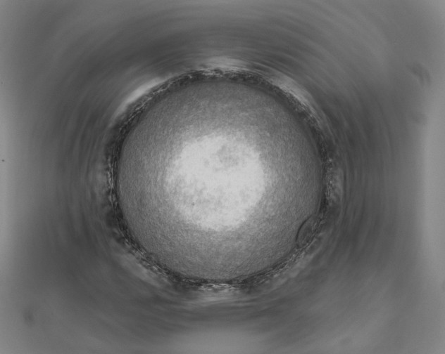 X0000110321112200906111447