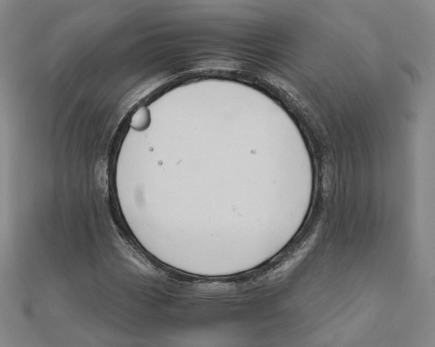 X0000110321113200906111447