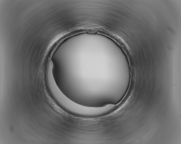 X0000110321114200906111447