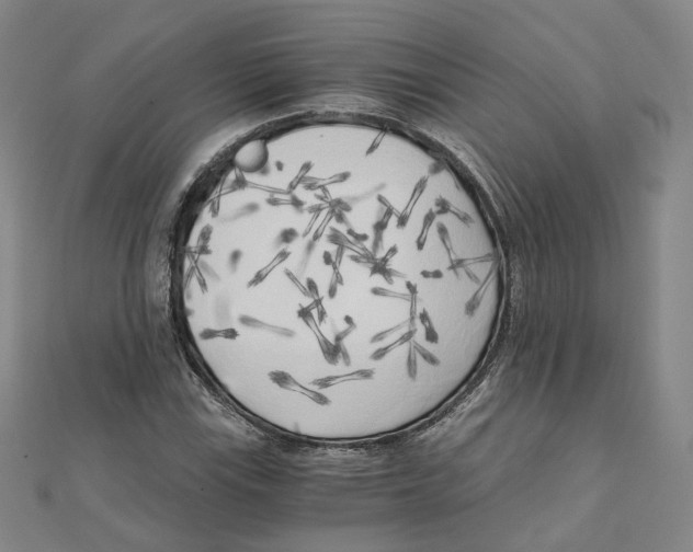 X0000110321115200906111447