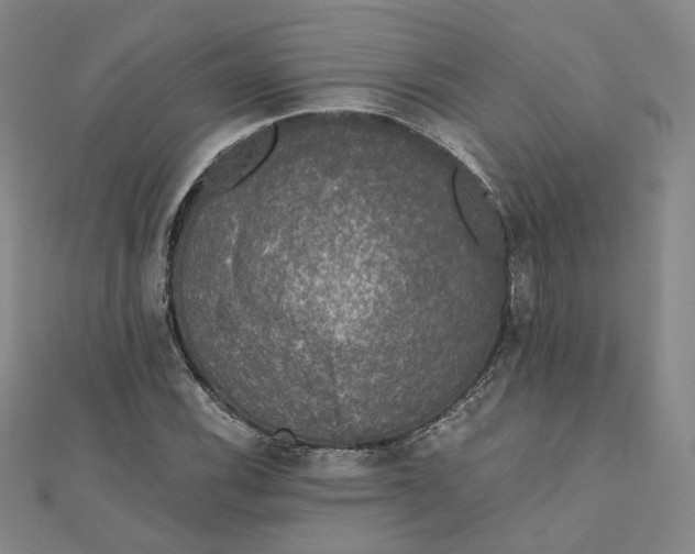 X0000110321116200906111447