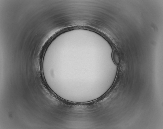 X0000110321118200906111447