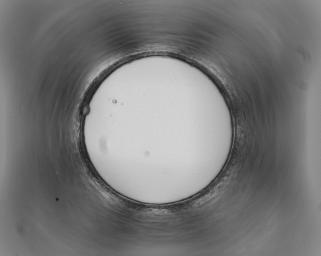 X0000110321119200906111447