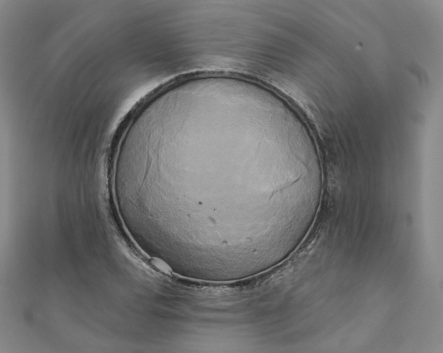 X0000110321120200906111447