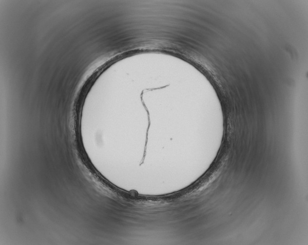 X0000110321122200906111447