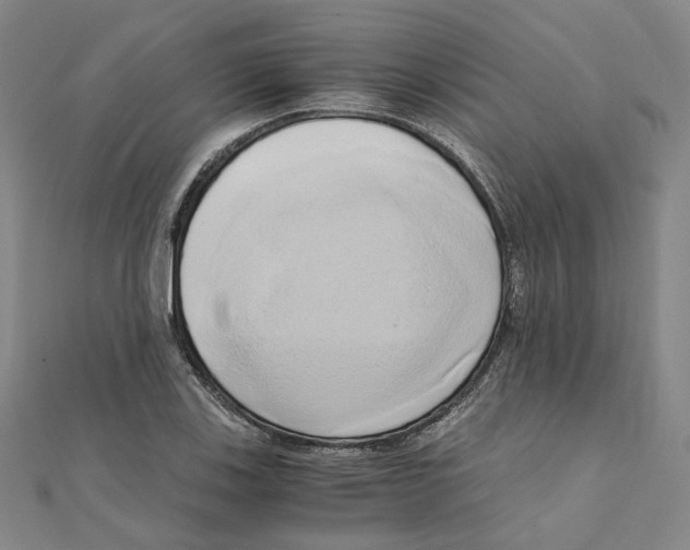 X0000110321123200906111447