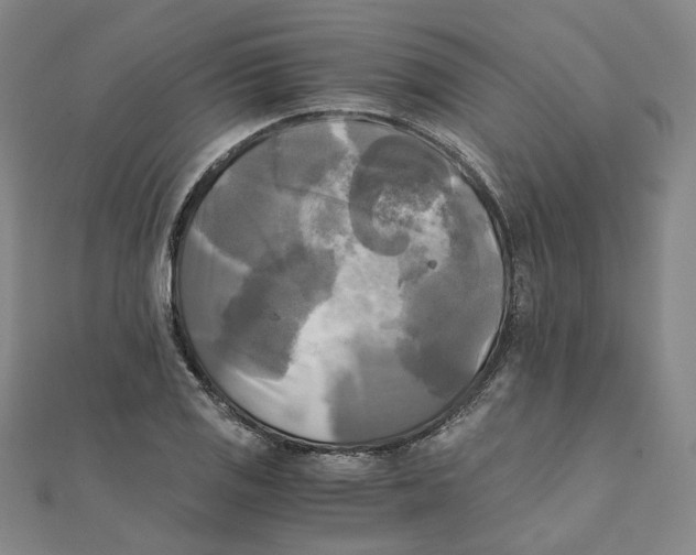 X0000110321125200906111447