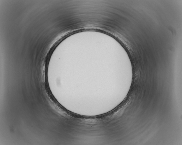 X0000110321126200906111447