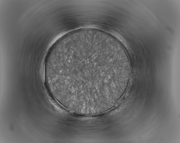 X0000110321127200906111447