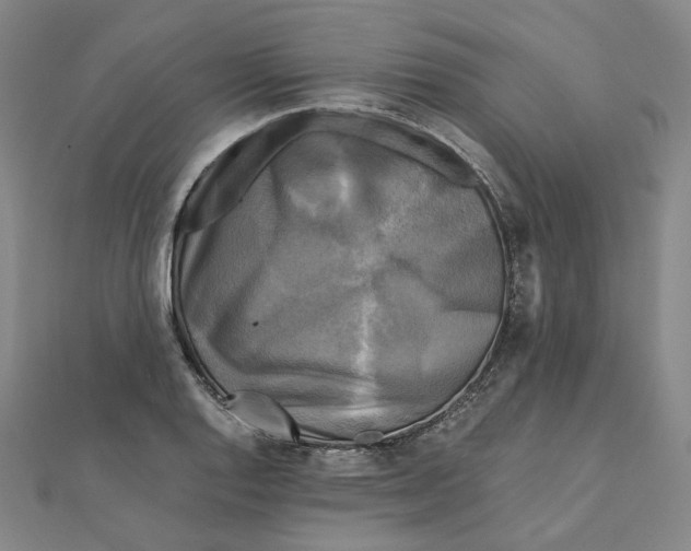 X0000110321128200906111447