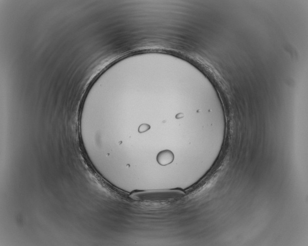 X0000110321129200906111447