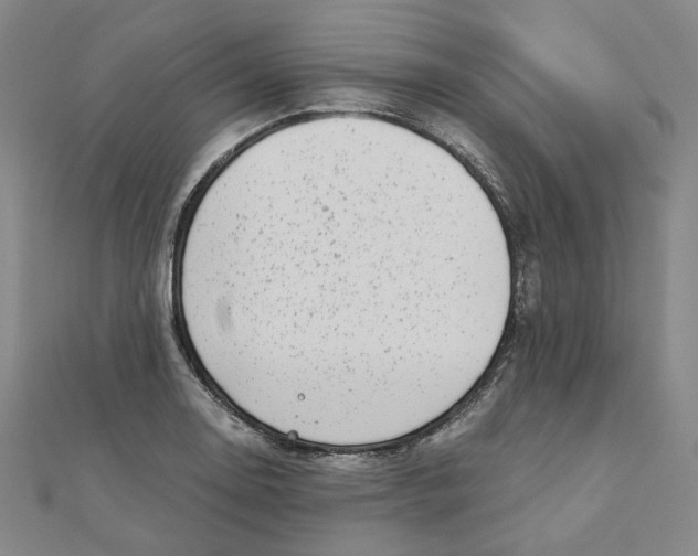 X0000110321130200906111447