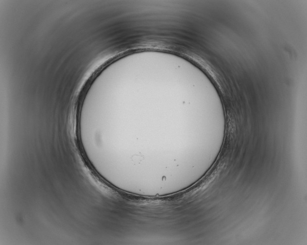 X0000110321131200906111447