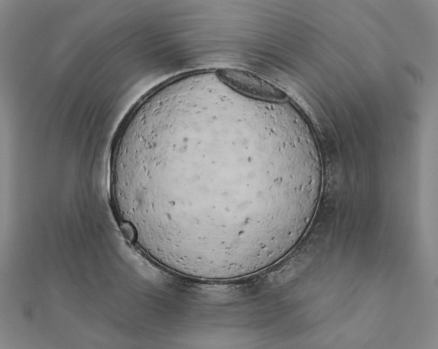 X0000110321132200906111447