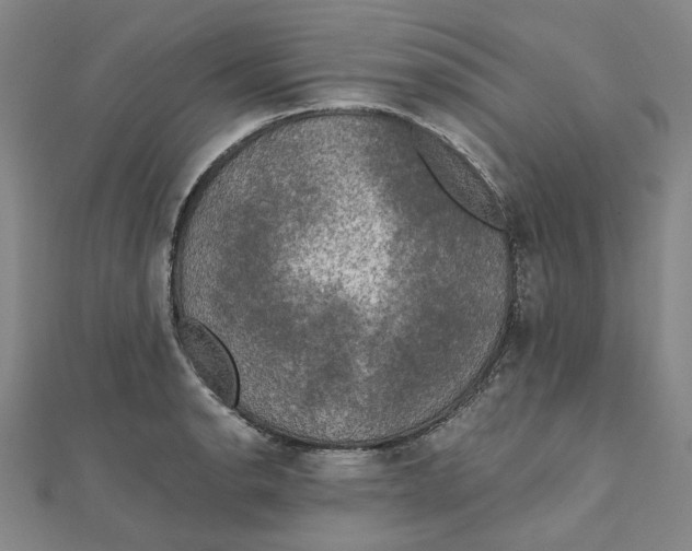 X0000110321134200906111447