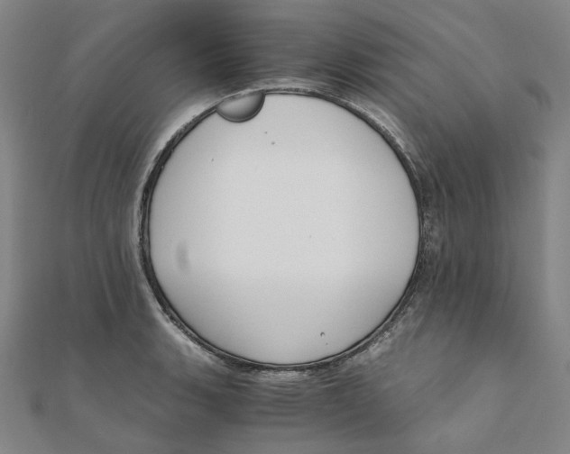 X0000110321135200906111447