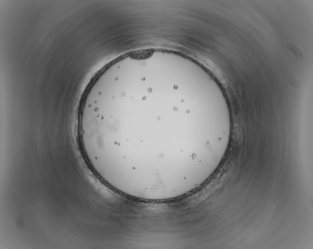 X0000110321136200906111447