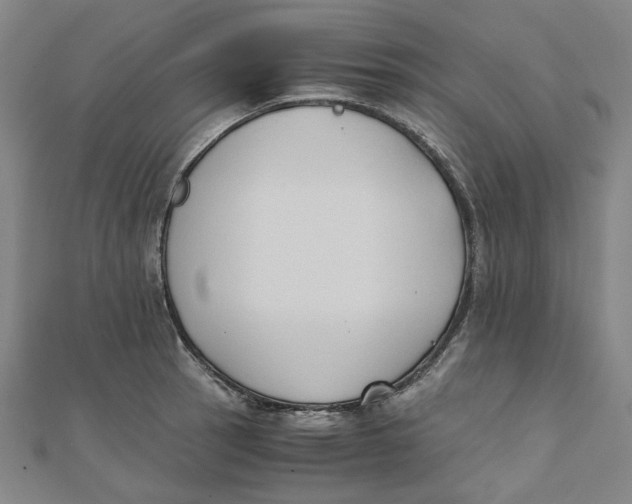 X0000110321137200906111447