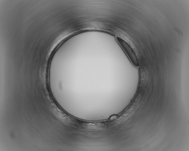 X0000110321138200906111447