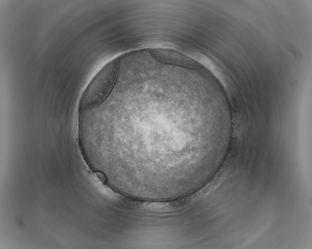 X0000110321140200906111447