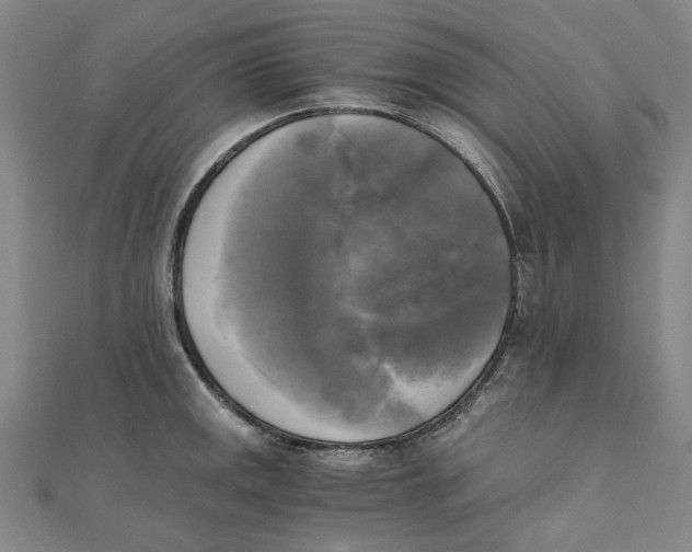 X0000110321141200906111447